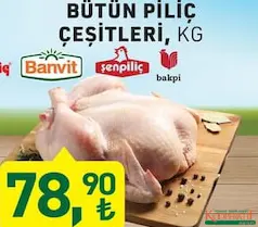 BÜTÜN PİLİÇ TAVUK ÇEŞİTLERİ KG